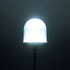 Sea Floor Dock Light-Daylight White-SF200DW