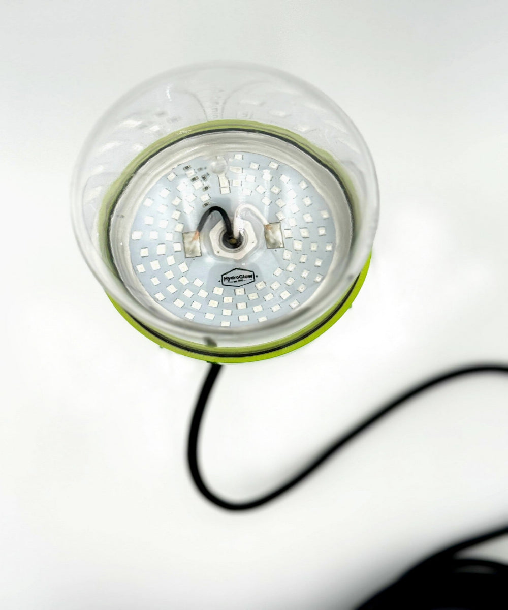 Sea Floor Dock Light-Green-SF100G